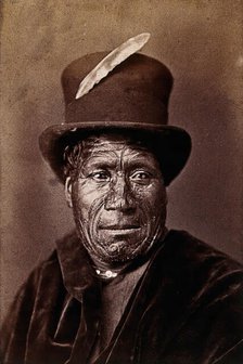 New Zealand: a Maori man, between 1800 and 1899. Creator: Unknown.