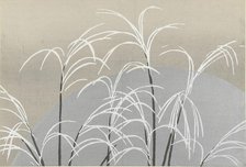 Obana ni tsuki (Pampas grasses and the moon). From the series "A World of Things..., 1909-1910. Creator: Sekka, Kamisaka (1866-1942).