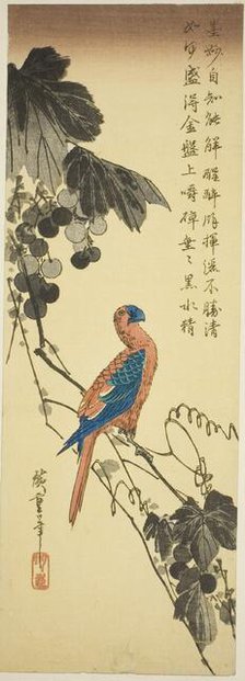 Parrot on a Grapevine, mid-1830s. Creator: Ando Hiroshige.
