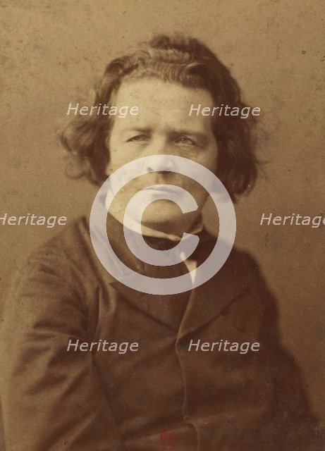 Portrait of the composer Anton Rubinstein (1829-1894).