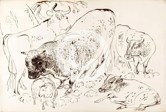 Four Cows and A Sheep, 1825-1839. Creator: James Howe.