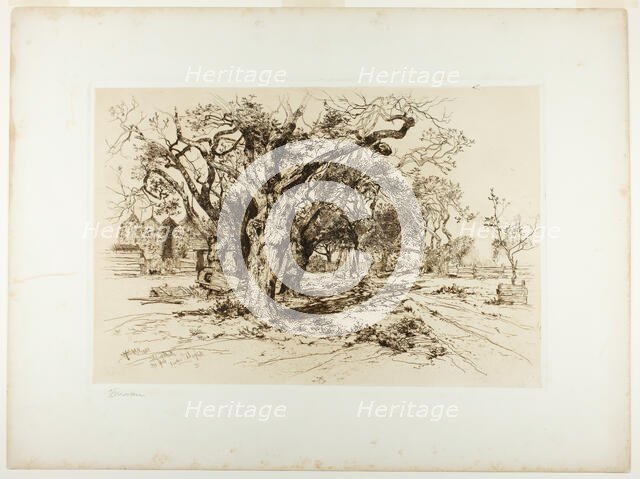 Mulford's Orchard, Easthampton, 1883. Creator: Thomas Moran.