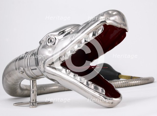 Boa Horn. Artist: Unknown.