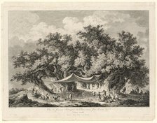 View of the Famous Chestnut Tree of Mount Etna, called Centum Cavalli, 1784/86. Creators: François Allix, H. G. Bertaux.
