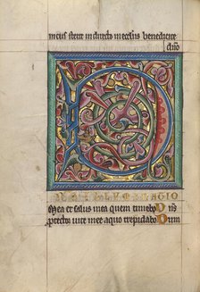 Decorated Initial D; Psalter, about 1240-1250. Creator: Unknown.