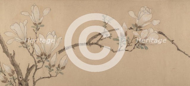 Magnolia, dated 1549. Creator: Unknown.