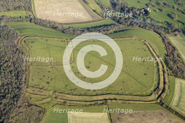 Hod Hill, the earthwork remains of an Iron Age hillfort and a Roman fort, Dorset, 2025. Creator: Damian Grady.