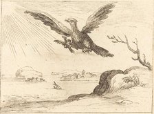 Eagle and Young. Creator: Jacques Callot.