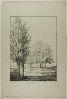 Plate 26 from Blatt Baum und Landschafts Studien, c.1810. Creator: Lorenz Ekemann Alesson.