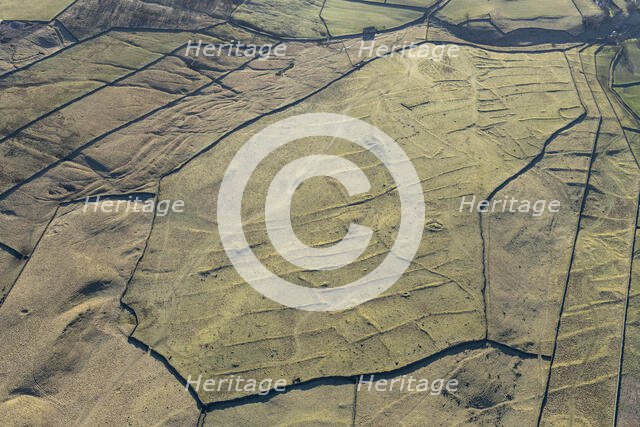 Grassington enclosures, North Yorkshire, 2024. Creator: Robyn Andrews.