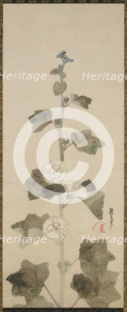 White hollyhocks, Edo period, late 17th-early 18th century. Creator: Ogata Korin.