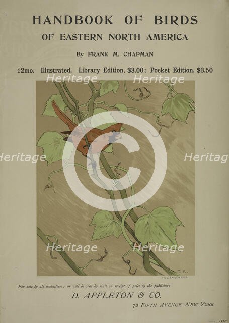 Handbook of birds of eastern north America, c1895. Creator: Unknown.