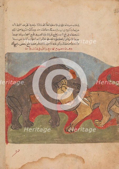 The Lion and the Elephant Fighting, Folio from a Kalila wa Dimna, 18th century. Creator: Unknown.