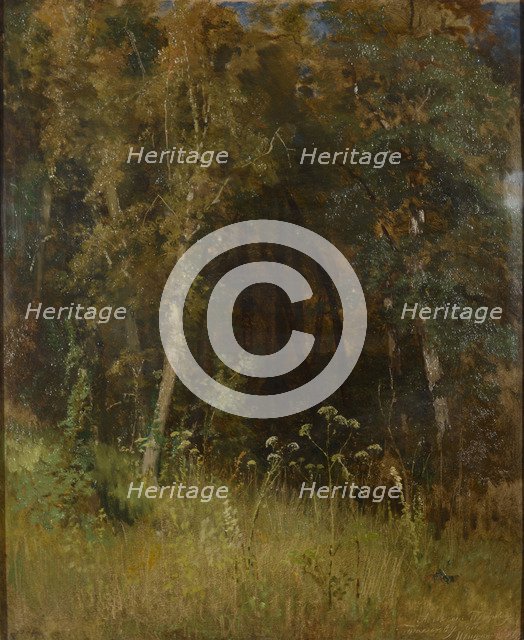 Forest Thicket, 1874.