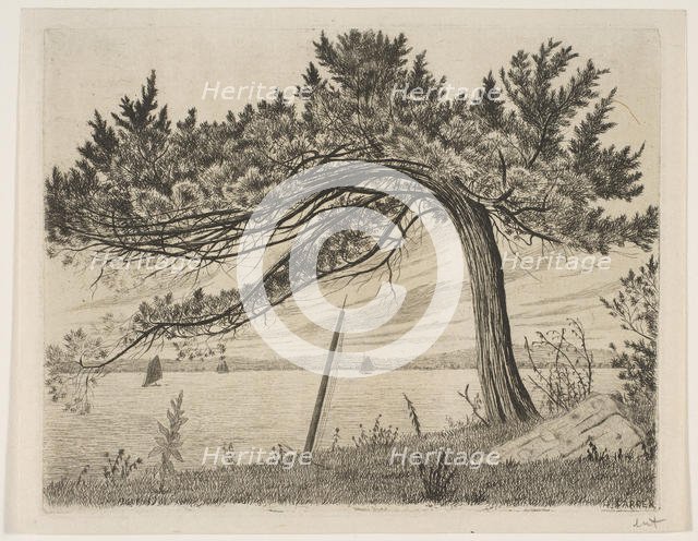 Pelham Bay, ca. 1875. Creator: Henry Farrer.