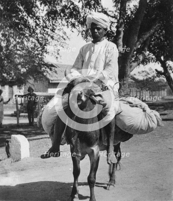 The laundry man, India, late 19th or early 20th century.  Artist: Cavanders Ltd