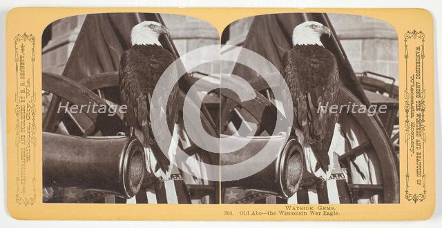 Old Abe - the Wisconsin War Eagle, c. 1875. Creator: Henry Hamilton Bennett.