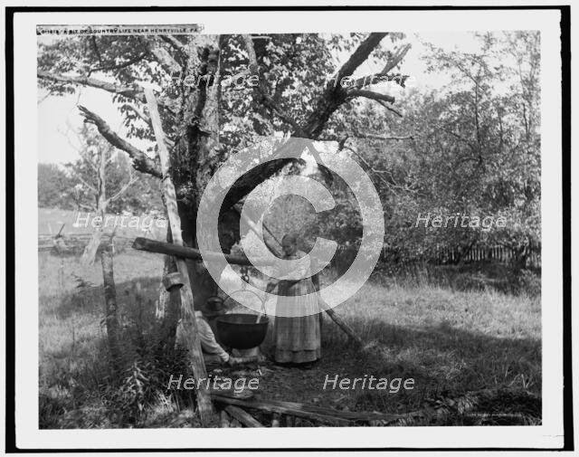 A Bit of country life near Henryville, Pa., c1900. Creator: Unknown.