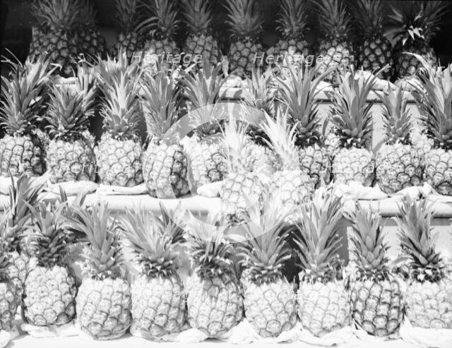 Center Market, Washington, D.C., 1936. Creator: Dorothea Lange.