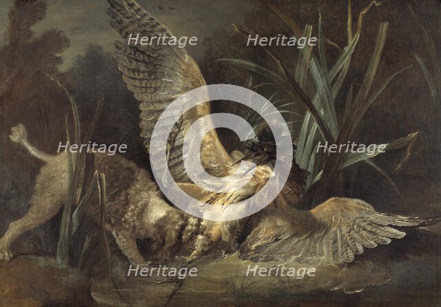 Spaniel Seizing a Bittern, 1725. Creator: Jean-Baptiste Oudry.