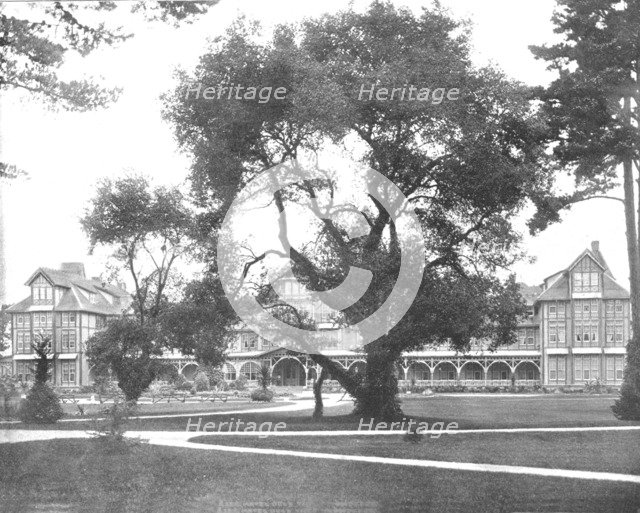 Del Monte, Monterey, California, USA, c1900. Creator: Unknown.