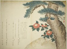 A Pine Tree and Camellias, c. 1815. Creator: Niwa Tokei.