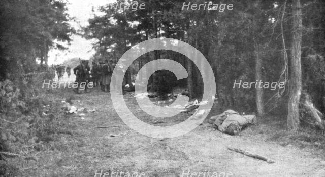 ''La Bataille de la Marne; Les chemins de la retraite ennemie semes d'equipements et de morts', 1914 Creator: Unknown.