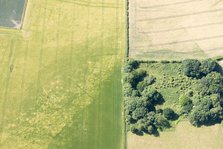 Cropmarks of Iron Age burial sites on the Yorkshire Wolds, East Riding of Yorkshire, 2018. Creator: Historic England Staff Photographer.