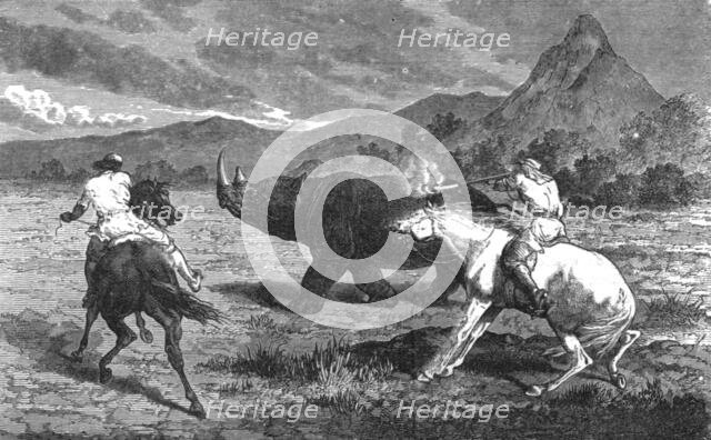 'Shooting Rhinoceros; Life in a South African Colony', 1875. Creator: Unknown.