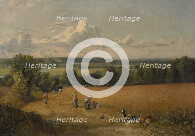 The Wheat Field, 1816. Creator: John Constable.