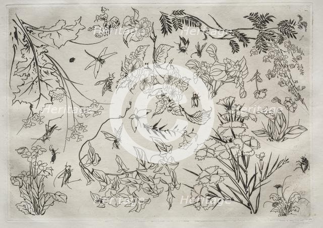 Dinner Service (Rousseau service): Flowers (no. 22), 1866. Creator: Félix Bracquemond (French, 1833-1914).