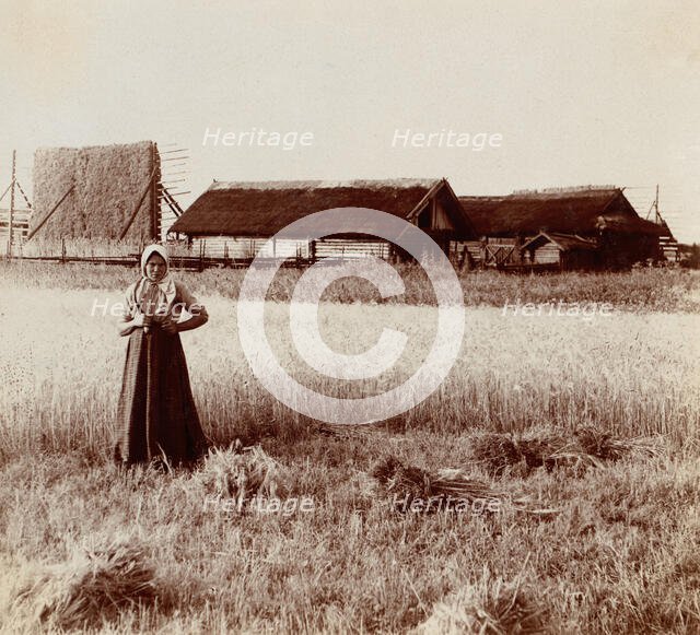 At harvest. Near the village of Byche, 1912. Creator: Sergey Mikhaylovich Prokudin-Gorsky.