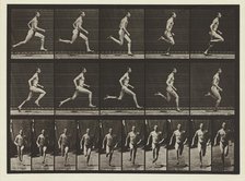 Plate #60, Animal Locomotion, no date [1884-1885]. Creator: Eadweard J Muybridge.