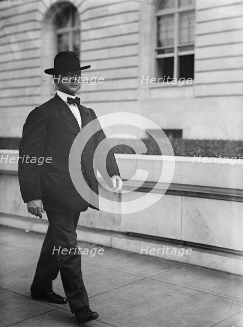 William Henry Hinebaugh, Rep. from Illinois, 1913.  Creator: Harris & Ewing.