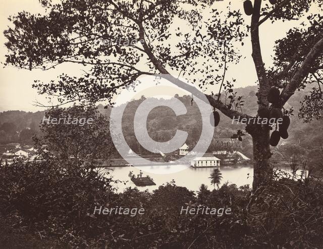 A Peep from Upper Lake Road showing Temple and Island with Park - fruit tree in foreground, c1865. Creator: Samuel Bourne.