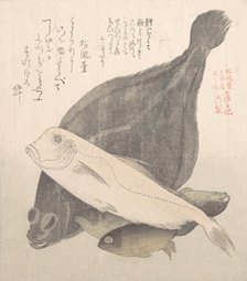 Flounder and Other Fishes, 19th century. Creator: Kubo Shunman.