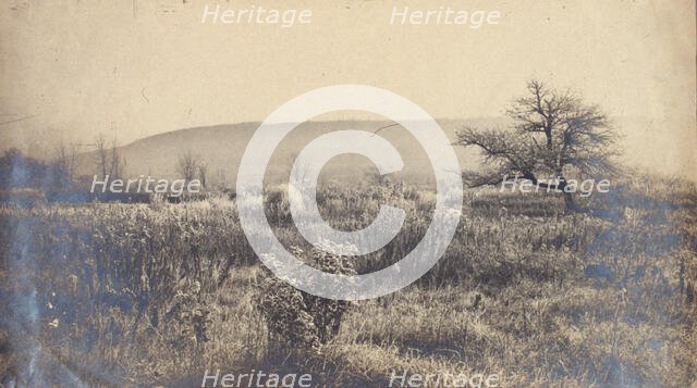 Landscape of a field with hill in background, c1900. Creator: Unknown.