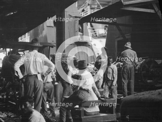 Unloading bananas, New Orleans, between 1920 and 1926. Creator: Arnold Genthe.