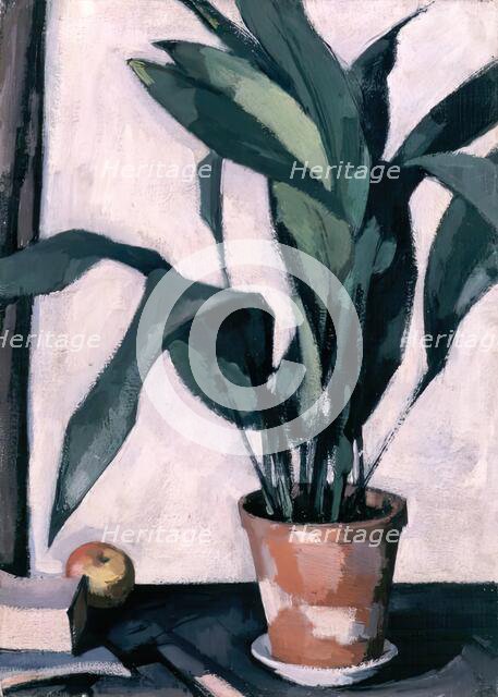 Aspidistra, 1927. Creator: Samuel John Peploe.