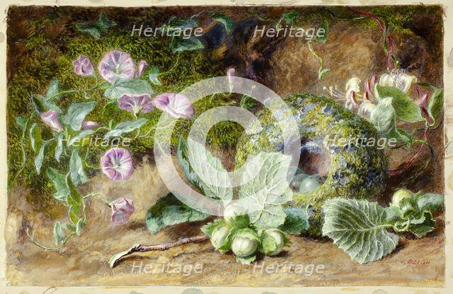 Convobuli and Nest, c. 1863. Creator: Jabez Bligh.