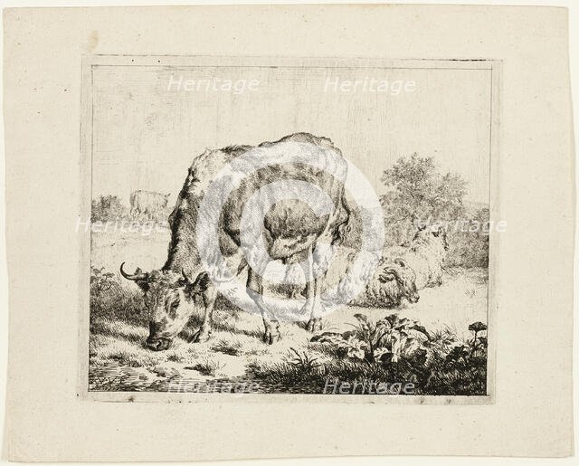 Bull Grazing and Three Sheep, 1670. Creator: Adriaen van de Velde.