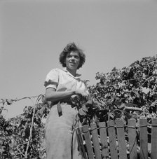 Possibly: Wife of an ex-logger, now a migrat..., Independence (vicinity), Polk County, Oregon, 1939. Creator: Dorothea Lange.