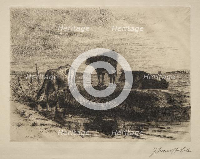 The Three Cows. Creator: Joseph Foxcroft Cole (American, 1837-1892).