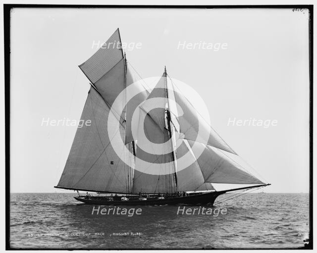 Fortuna, Goelet Cup Race, 1891 Aug 7. Creator: Unknown.