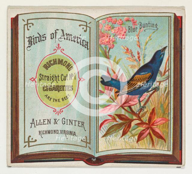 Blue Bunting, from the Birds of America series (N37) for Allen & Ginter Cigarettes, 1888. Creator: Allen & Ginter.