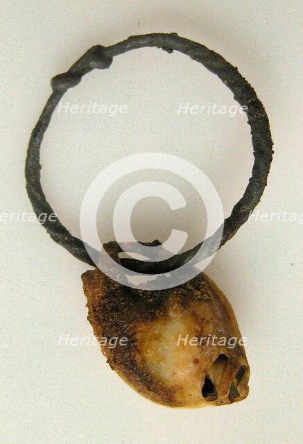 Ring with Shell, Coptic, 4th-7th century. Creator: Unknown.