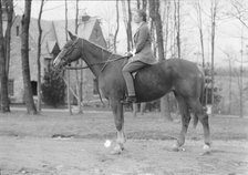 Manners, Alice G., Mrs., on horseback, between 1936 and 1942. Creator: Arnold Genthe.