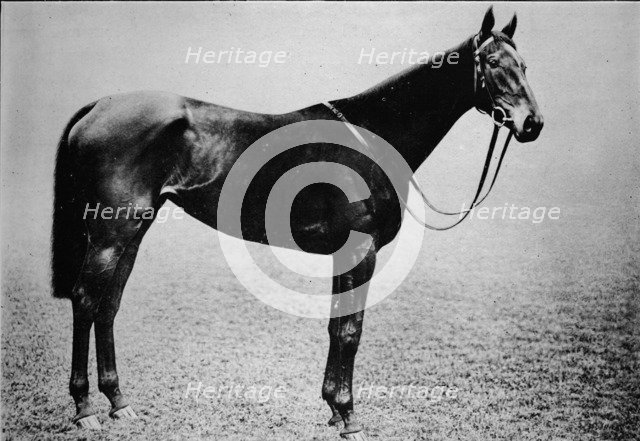 'Sceptre', 1899-1926, (1911). Artist: Unknown.