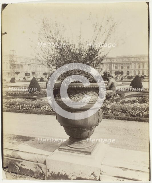 Versailles, Vase par Ballin, 1902. Creator: Eugene Atget.
