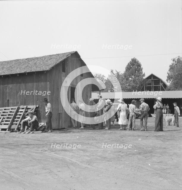 Part of the lineup at paymaster's window..., near Grants Pass, Oregon, 1939. Creator: Dorothea Lange.